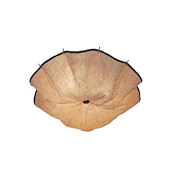 FLOS Celestia Ceiling Lamp ����ɡ����������