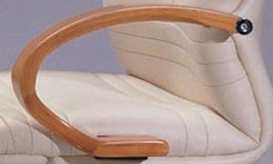 ��Ƥ������CG-JDDBY-292-XJ2